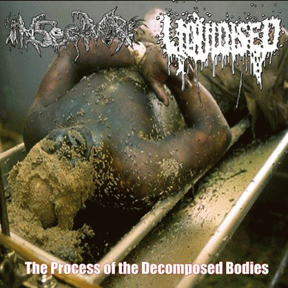 Liquidised : The Process of the Decomposing Bodies
